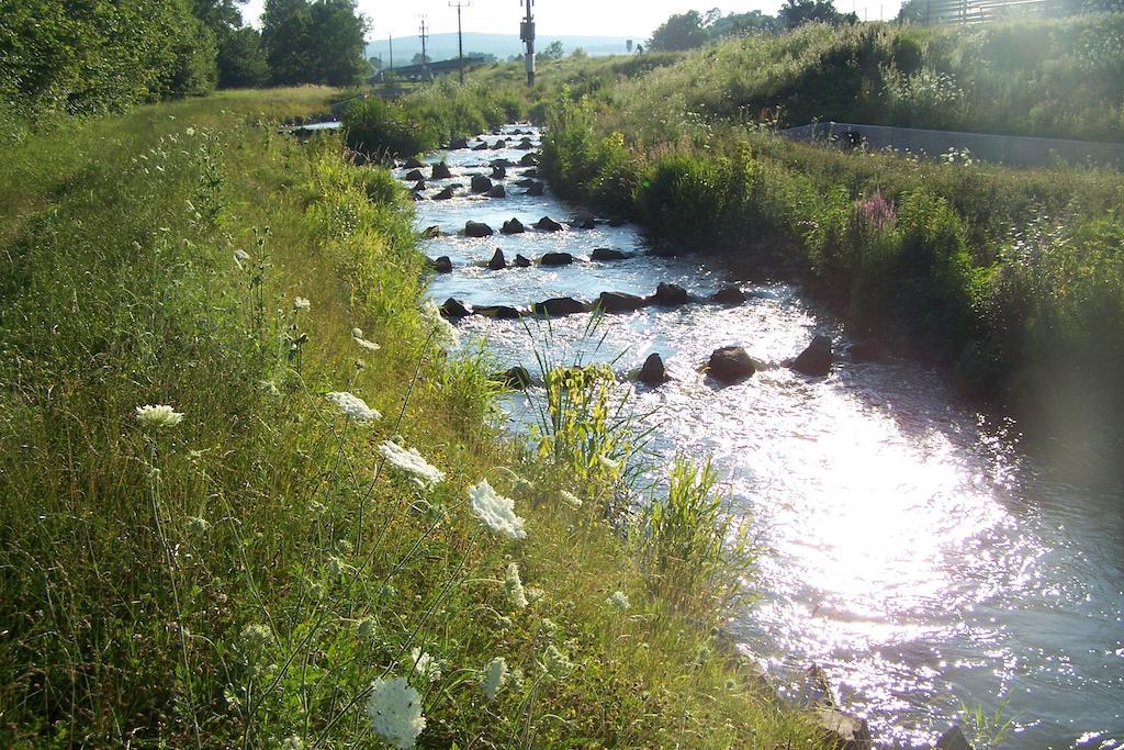 Penzion u Dyje Bulhary Esterno foto